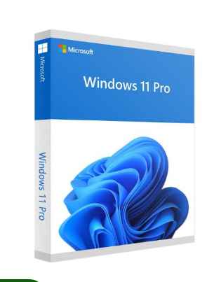 Microsoft Windows 11 Professional