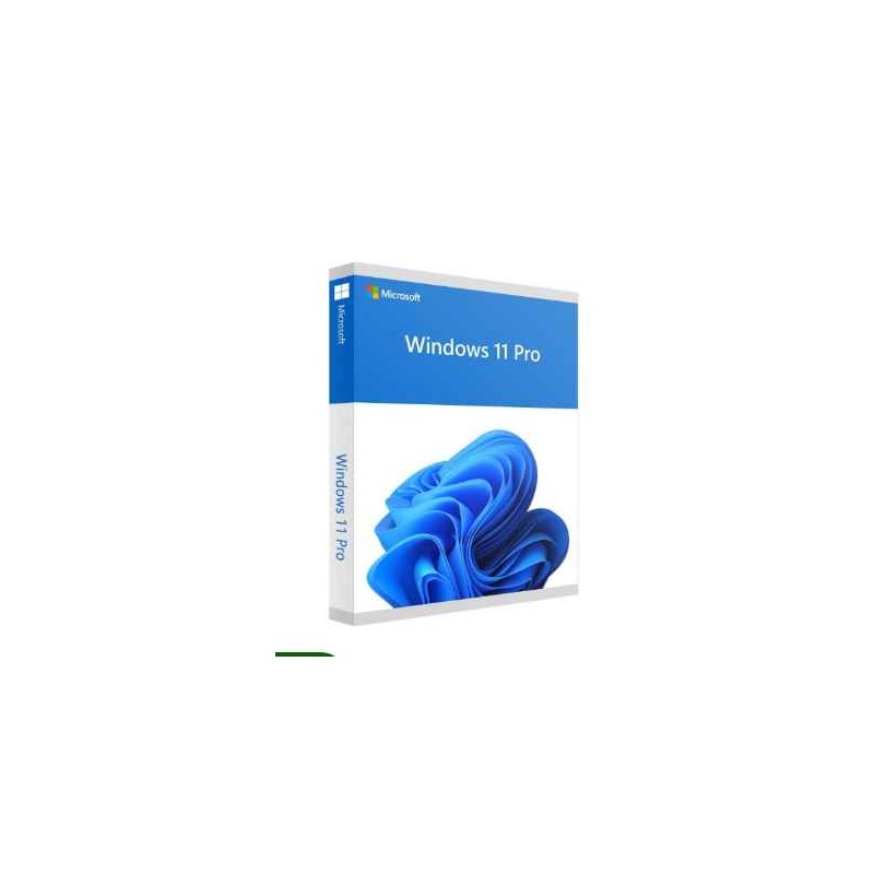 Microsoft Windows 11 Professional